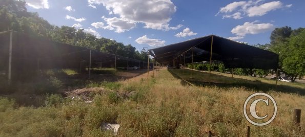 Park space between Aristobulo del Valle y Av. Emilio Mitre (2)