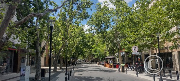 Peatonal Chile y Carlos Pellegrini