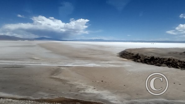 IMG_20230331_142827276_HDR