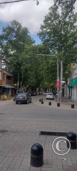 Pedernera y Urquiza (2)