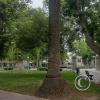 Plaza Pedernera at Pedernera y Leon Guillet y Lavalle (4)