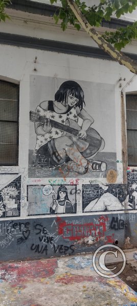 Plaza Sesquicentenario at Rivadavia y Pedernera y Balcarce (6)