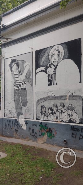Plaza Sesquicentenario at Rivadavia y Pedernera y Balcarce (8)