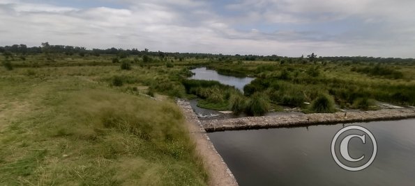 Rio Quinto (5)