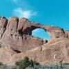 Arches
