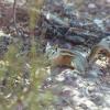 18078552386