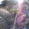 16879668844