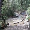 17485051243