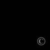 17880000505