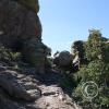 Chiricahua Mtns