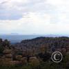 Looking east into New Mexico