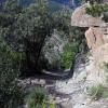 Sugarloaf Mtn trail 1