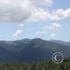 The Chiricahua Mtns