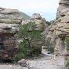 trail thru the rocks