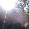 IMAG0008
