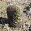 LomaAltaTrail 022