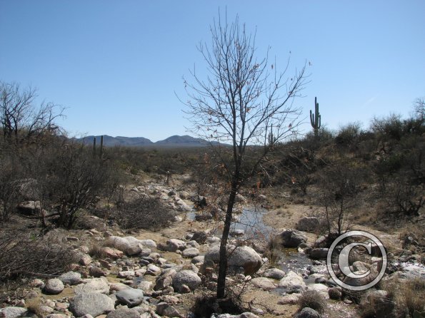 LomaAltaTrail009