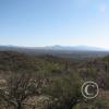 LomaAltaTrail026
