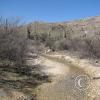 lomaaltatrail-005_17081407783_o