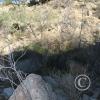 picture-003_17468986400_o