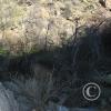 picture-004_17468736378_o