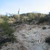 picture-029_17697018298_o