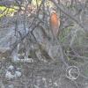 picture-406_17634426456_o