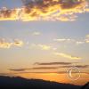 IMAG0264