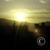 IMAG0296