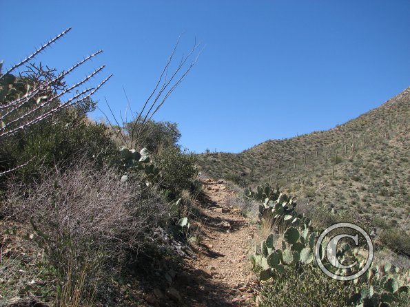 SweetWaterTrail 013