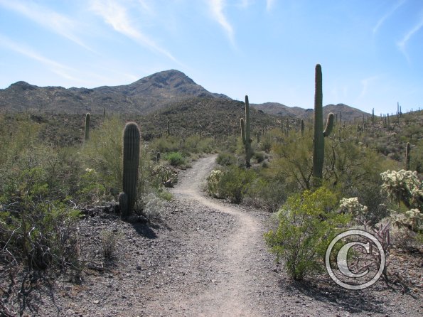 sweetwater_trail1