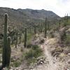 sweetwater_trail2_17707699028_o