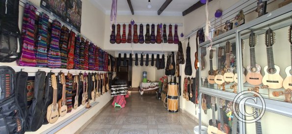 Charangos in a store (2)