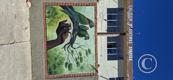 Mural at the stadium