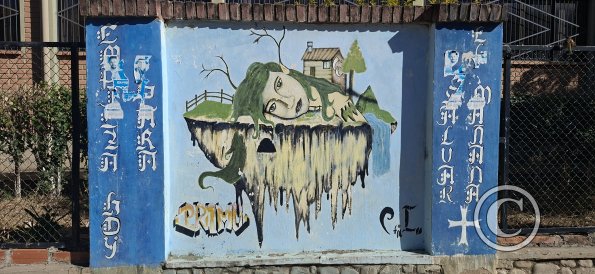 Mural in front of School Faustino Suarez Arnez (10)