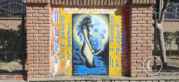 Mural in front of School Faustino Suarez Arnez (12)