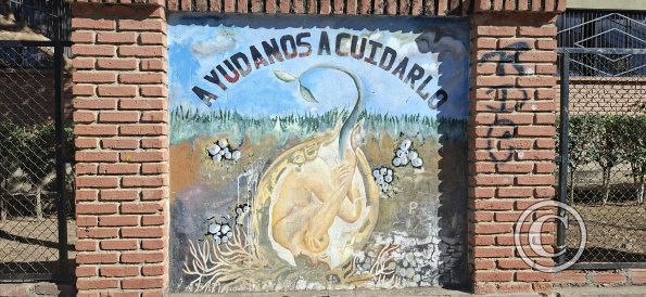 Mural in front of School Faustino Suarez Arnez (13)
