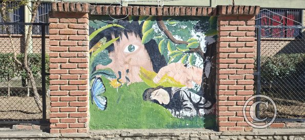 Mural in front of School Faustino Suarez Arnez (15)