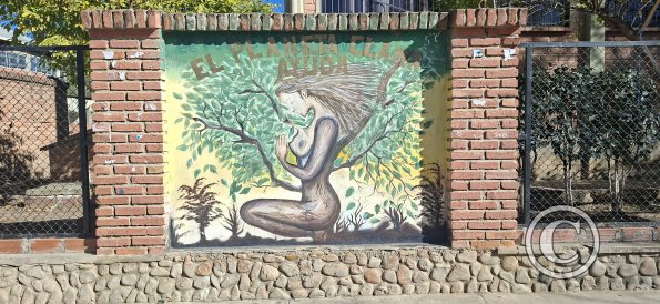 Mural in front of School Faustino Suarez Arnez (2)