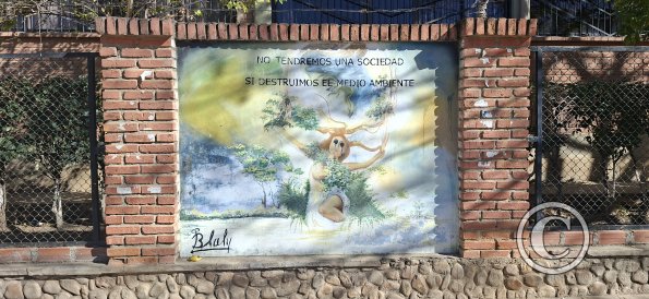 Mural in front of School Faustino Suarez Arnez (3)