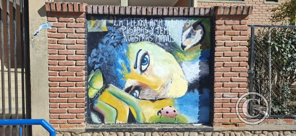 Mural in front of School Faustino Suarez Arnez (6)