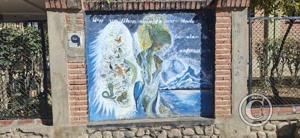 Mural in front of School Faustino Suarez Arnez (7)