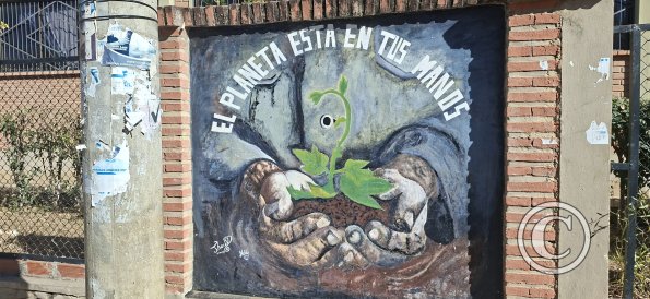 Mural in front of School Faustino Suarez Arnez (9)