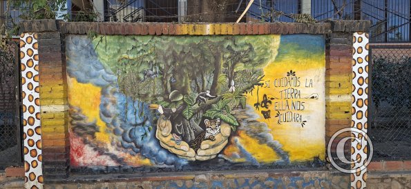 Mural on Av Teran (6)