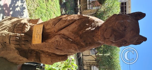 Museo del Charango (10)