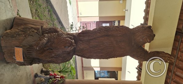 Museo del Charango (14)