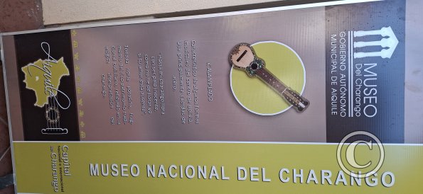 Museo del Charango (16)