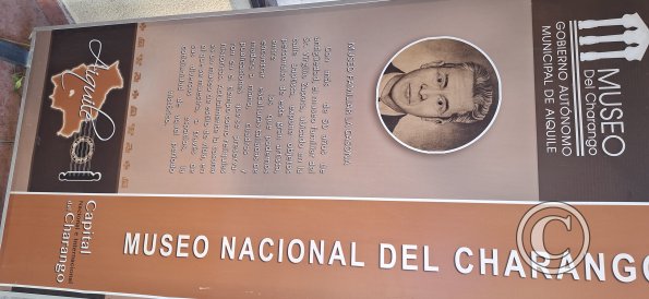 Museo del Charango (3)