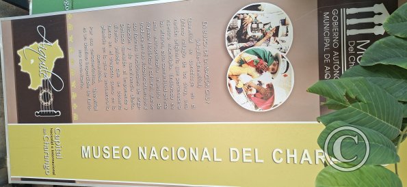 Museo del Charango (4)