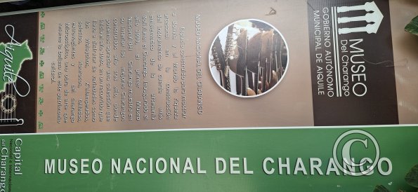 Museo del Charango (5)